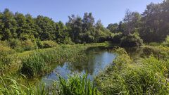 Galerie photo Les jardins de Nathandine